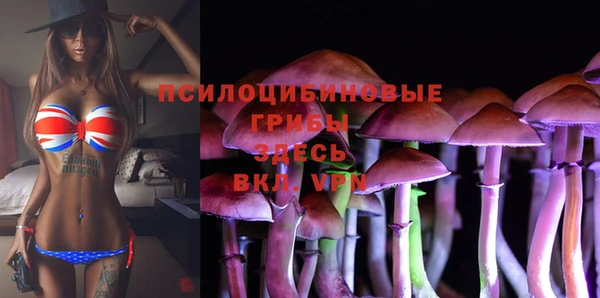 дмт Алагир