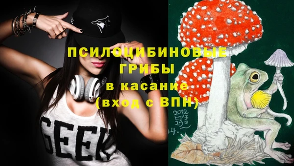 дмт Алагир