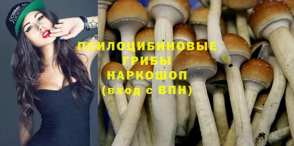 экстази Богданович