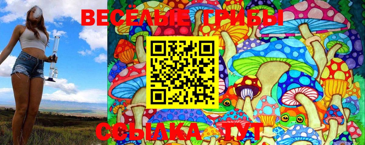 Галлюциногенные грибы GOLDEN TEACHER  Борзя  Псилоцибиновые грибы Psilocybine cubensis 