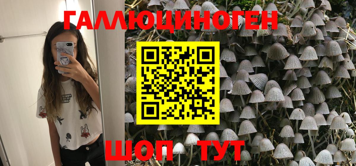 Псилоцибиновые грибы Magic Shrooms Борзя