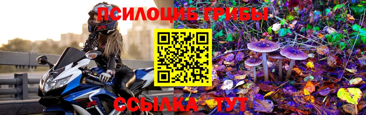 Галлюциногенные грибы мицелий Борзя