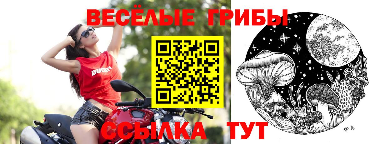 Псилоцибиновые грибы мухоморы  Вход с VPN  Борзя 