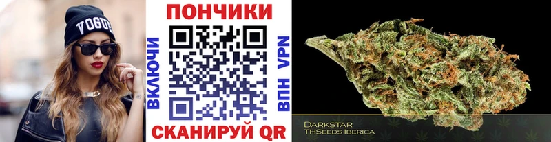Бошки марихуана Amnesia  Купить  Борзя 